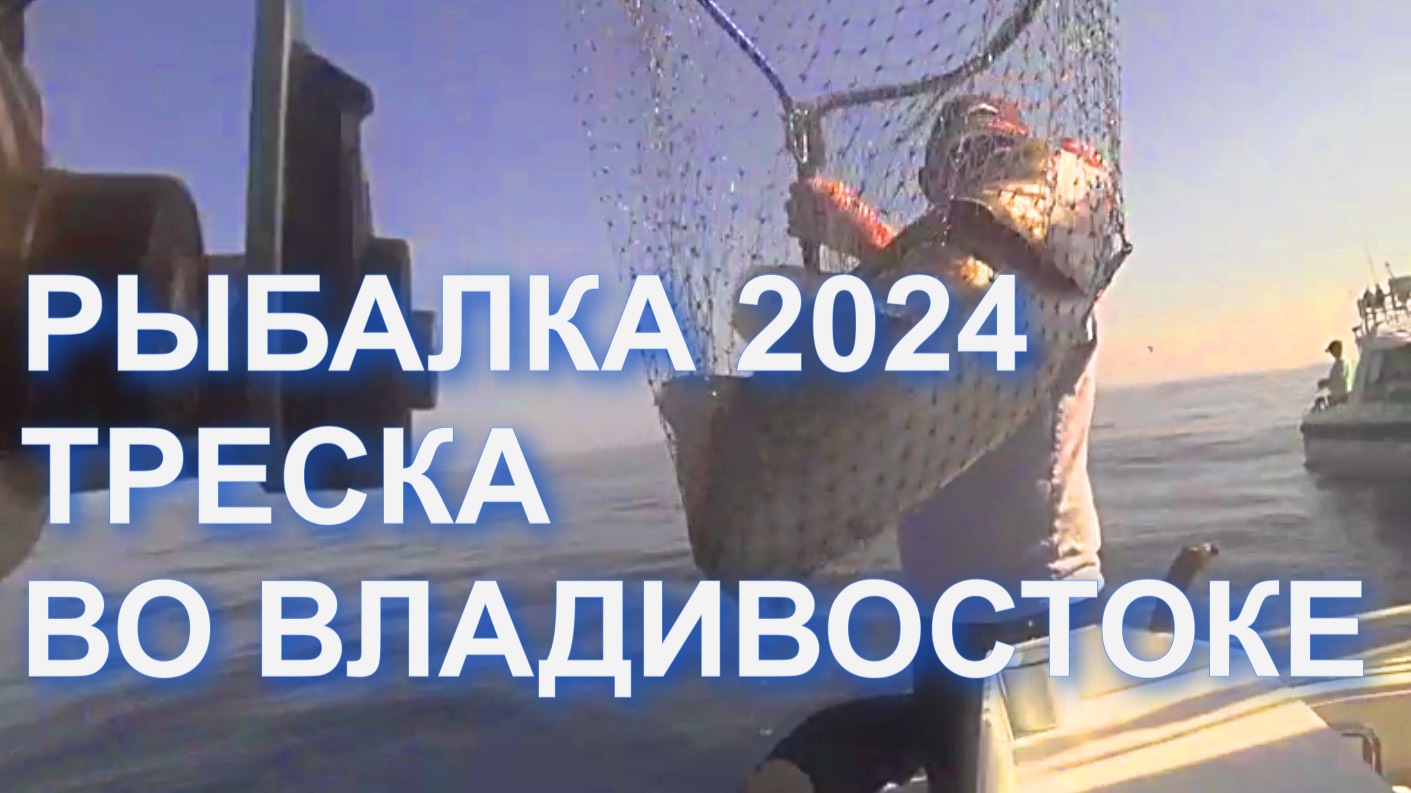 РЫБАЛКА НА ТРЕСКУ В ИЮЛЕ 2024