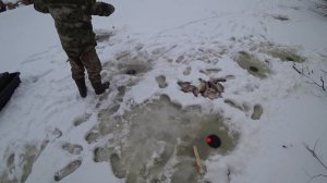 Тянут хапугу на дно или рыбалка на хапугу в Сибири. Наткнулись на рыбье эльдорадо. Нахреначили рыбы