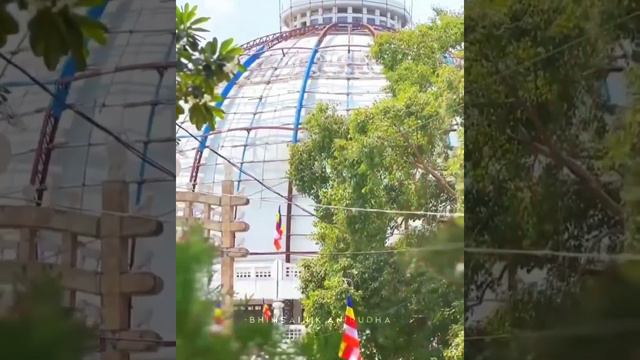 👑Dhamma chakra pravartan din special status 💙 Dhamma chakra pravartan dinacya mangal shubhechha🙇🏻 смотреть онлайн