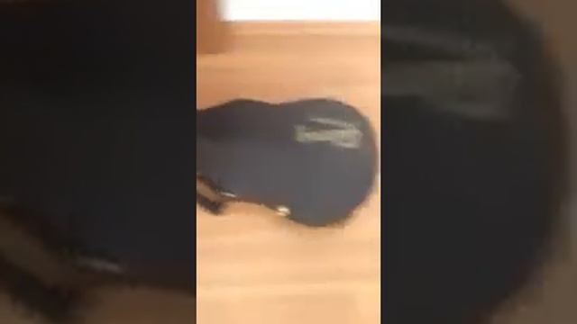 Как открыть гитарный кейс смотреть онлайн
