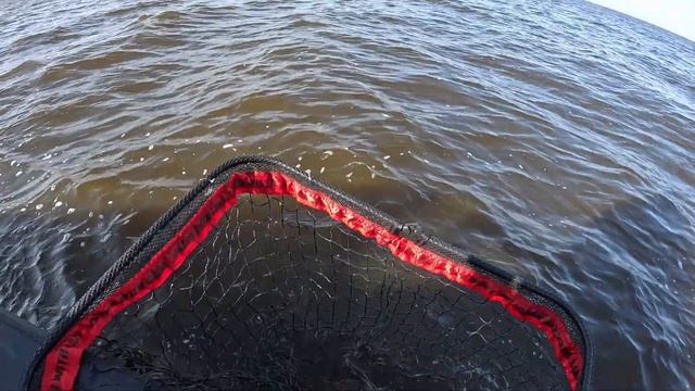 FRAPP или SmolFish??? Судаки на Рыбинском водохранилище смотреть онлайн