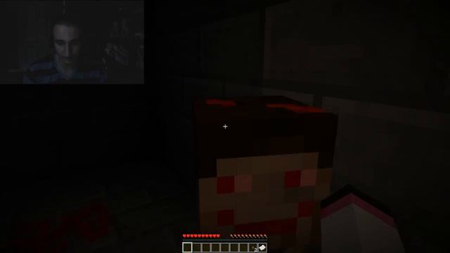 Minecraft THE BASEMENT HORROR (Facecam) Adventure Map смотреть онлайн