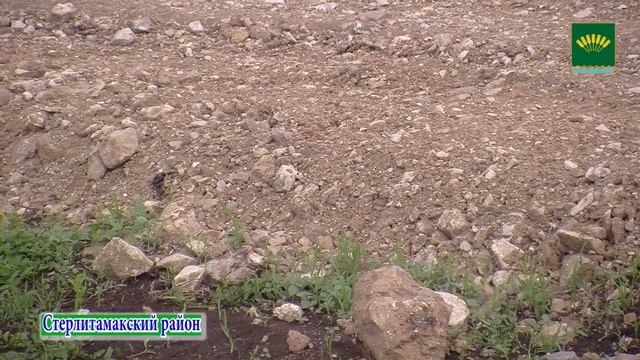 Строительство дороги в микрорайоне Пригородный с.Мариинский смотреть онлайн