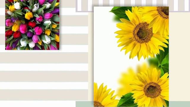 поздравления шикарной женщине смотреть онлайн