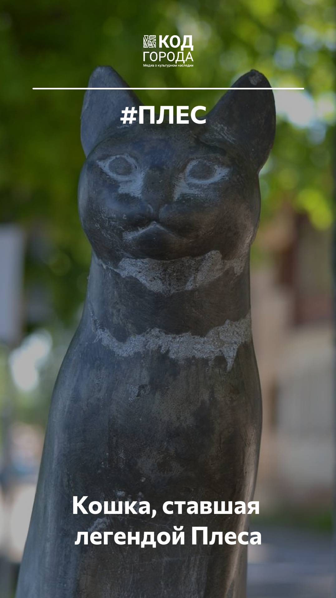 Кошка, ставшая легендой Плеса. Она трагически погибла, защищая своих котят от стаи собак.