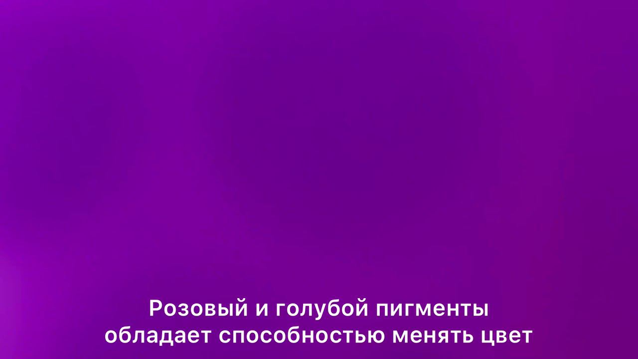 Фотохромная покраска. смотреть онлайн