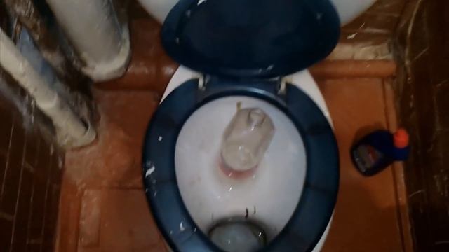 Гайд: Как использовать стул в туалете или как справить нужду русскому. смотреть онлайн