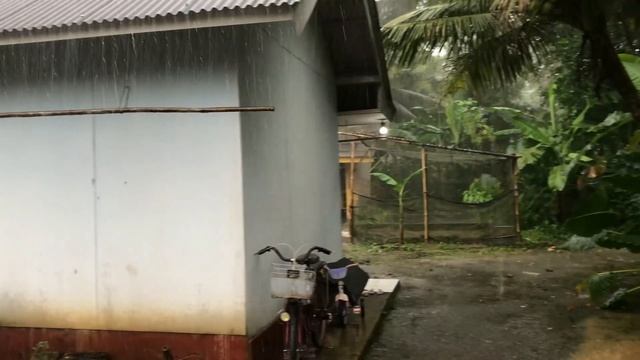 Heavy rain and strong wind in my village | Get rid of insomnia and fall asleep to the sound of rain смотреть онлайн