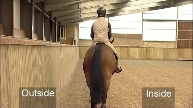 Flatwork Training for Showjumping смотреть онлайн