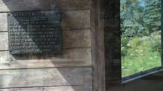 История о том, как Джейден завел первого друга в Америке👫 смотреть онлайн