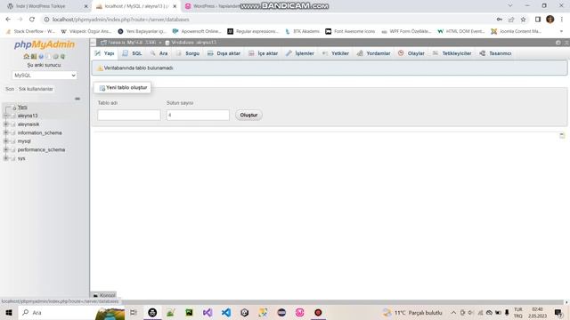 wampserver ile localhost WordPress kurulum ödevi (Aleyna Işık 214309013 ) смотреть онлайн