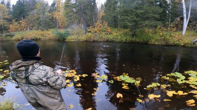 Рыбалка на хариуса осень 2021год смотреть онлайн