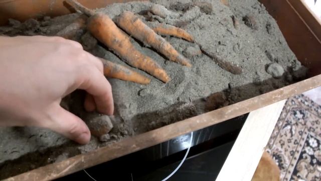 РЕЗУЛЬТАТЫ ХРАНЕНИЯ МОРКОВИ смотреть онлайн