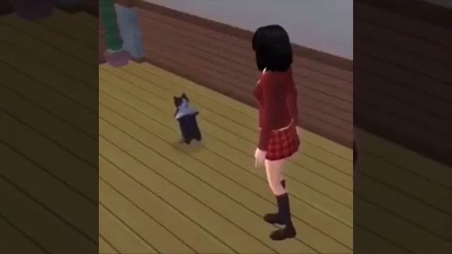 cat break dance 1 hour | better sound смотреть онлайн