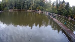 Ловим форель на силиконового червя