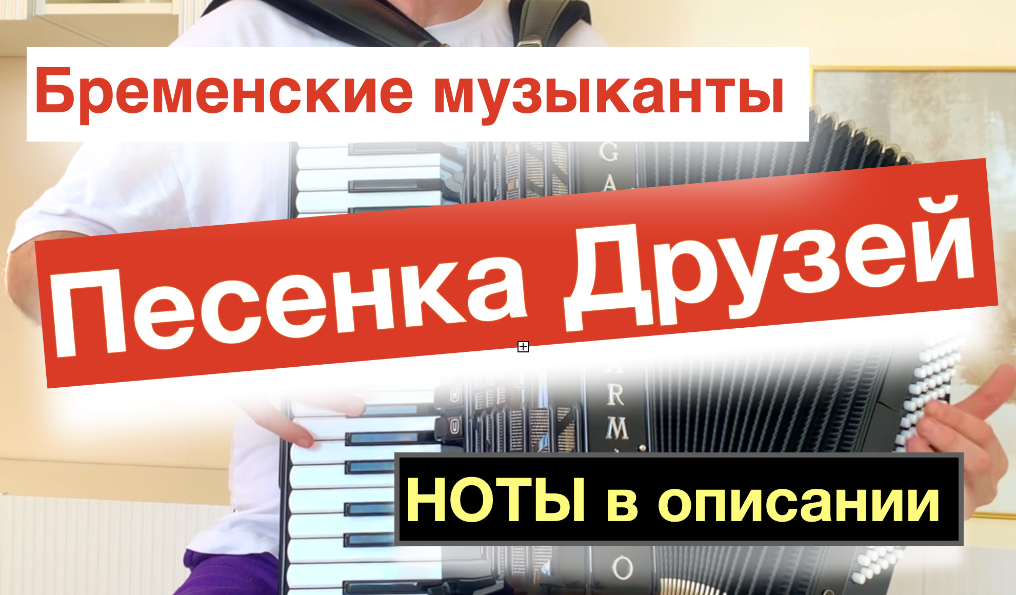 Супер Обработка! Песня Бременских музыкантов - Ничего на свете лучше нету на Аккордеоне и Баяне смотреть онлайн