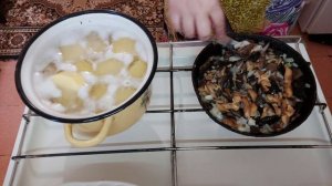Запеканка картофельная с солеными грибами / очень любим и часто готовим