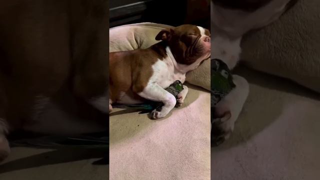 ☺️ смотреть онлайн