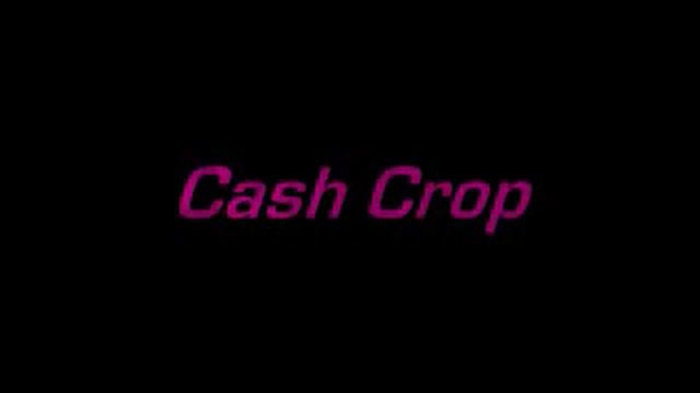 Cash Crop- alcoholic смотреть онлайн