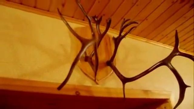 Турбаза Хуторок на Хопре смотреть онлайн