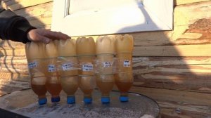 Тест масел Лукойл, Mobil, Shell, Eneos, ZIC на морозе в -30