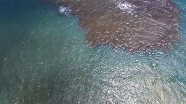 Отдых в Пуэрто-Рико - Интересные факты - Карибы. Обзор,  Puerto Rico - Beach