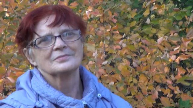 Питомник Садоград. Саженцы. Грецкий орех "Подмосковный" смотреть онлайн