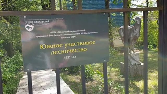 НЕГОДУЮ! Я ОЗАБОЧЕННЫЙ?! ЛУЧШИЕ МОМЕНТЫ КРАСНОЙ ПОЛЯНЫ :) смотреть онлайн