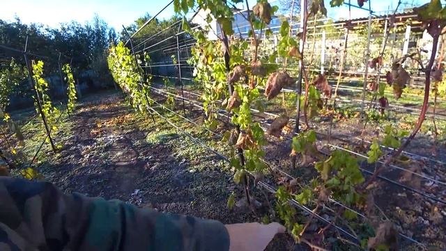 Укладка Ламината: Полезные Советы для Начинающих