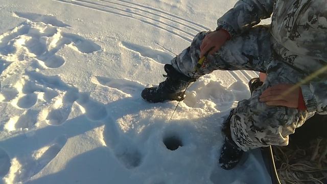 Зять позвал на рыбалку пешем возле деревни на 2 часика. смотреть онлайн