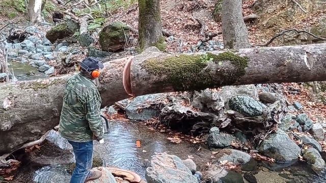 Stihl ms 660. смотреть онлайн