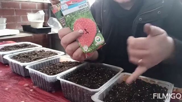 Грунт для земляники! Как сею! Лук в керамзите! смотреть онлайн