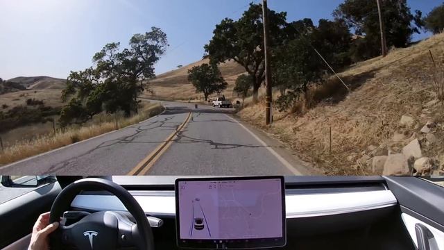 Tesla Automatic Emergency Braking - Real World Test смотреть онлайн