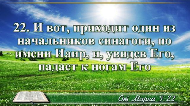 Евангелие от Марка с музыкой глава 5 читаем и слушаем смотреть онлайн