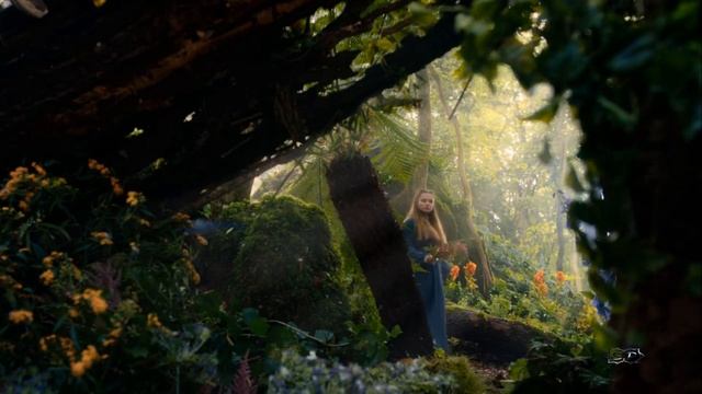 СКАЗОЧНЫЙ ЛЕС смотреть онлайн