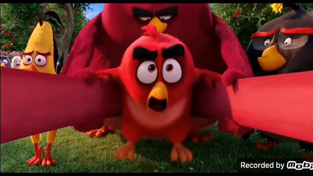 Talking tom & angry birds. Coffin dance. #talkingTom смотреть онлайн