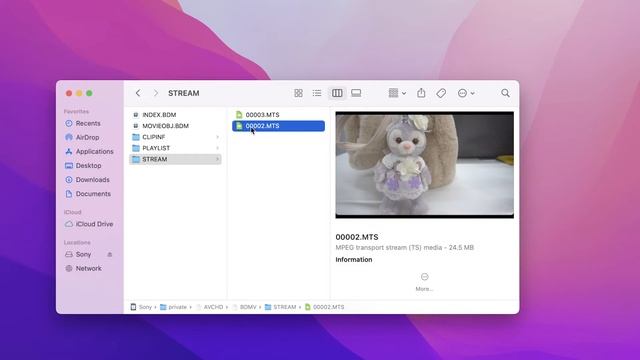 [AVCHD/MTS To MP4] How To Convert CPI/AVCHD/MTS To MP4 Within Seconds? What Is The AVCHD/MTS  File?