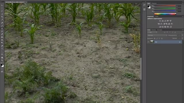 Как убирать ненужные предметы с фотографии смотреть онлайн