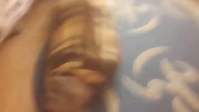 Комета мечты