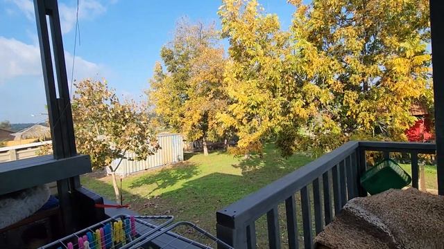 Соорудила место кормления котиков во время дождя ?