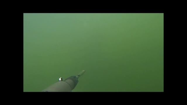 Подводная охота август 2024 смотреть онлайн