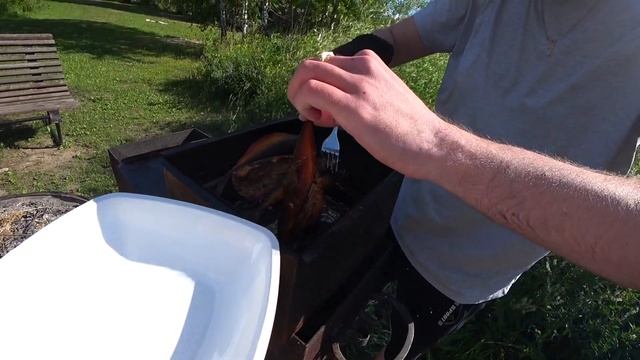 СЕМЕЙНЫЙ ОТДЫХ НА ПРИРОДЕ.РЫБАЛКА.ШАШЛЫК.КОПТИМ РЫБУ.1 ЧАСТЬ смотреть онлайн
