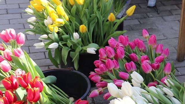Как правильно выбрать праздничный букет
