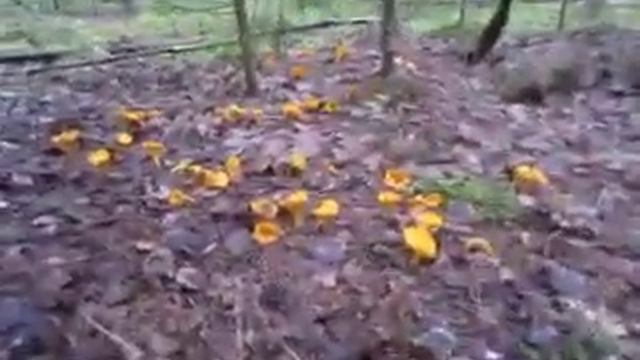 озеро Вялье смотреть онлайн