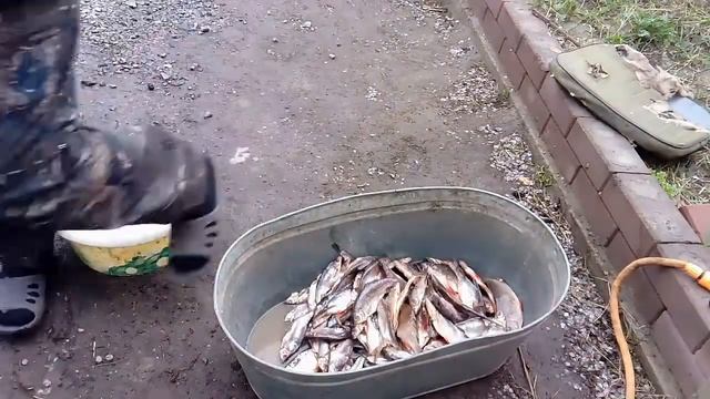 Засолка и сушка рыбы! смотреть онлайн