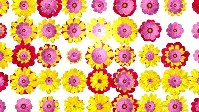 Фон Танцующие цветы. Красивый цветочный футаж смотреть онлайн