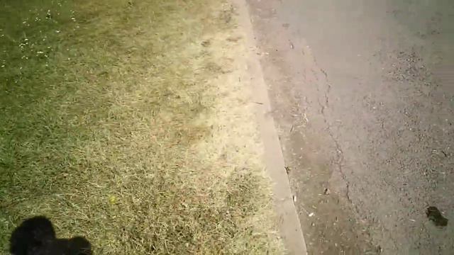 разходка из София на езерото Дружба 1 смотреть онлайн