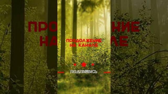 Он встретил её через месяц, она вся осунулась и похудела... #shorts смотреть онлайн