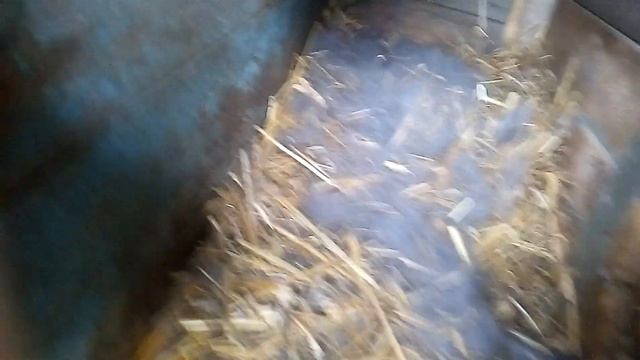 Окотились кролики смотреть онлайн