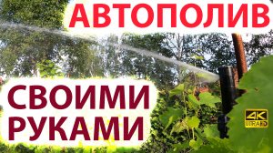 Автополив своими руками. Как все работает. Смотрите цены в конце видео